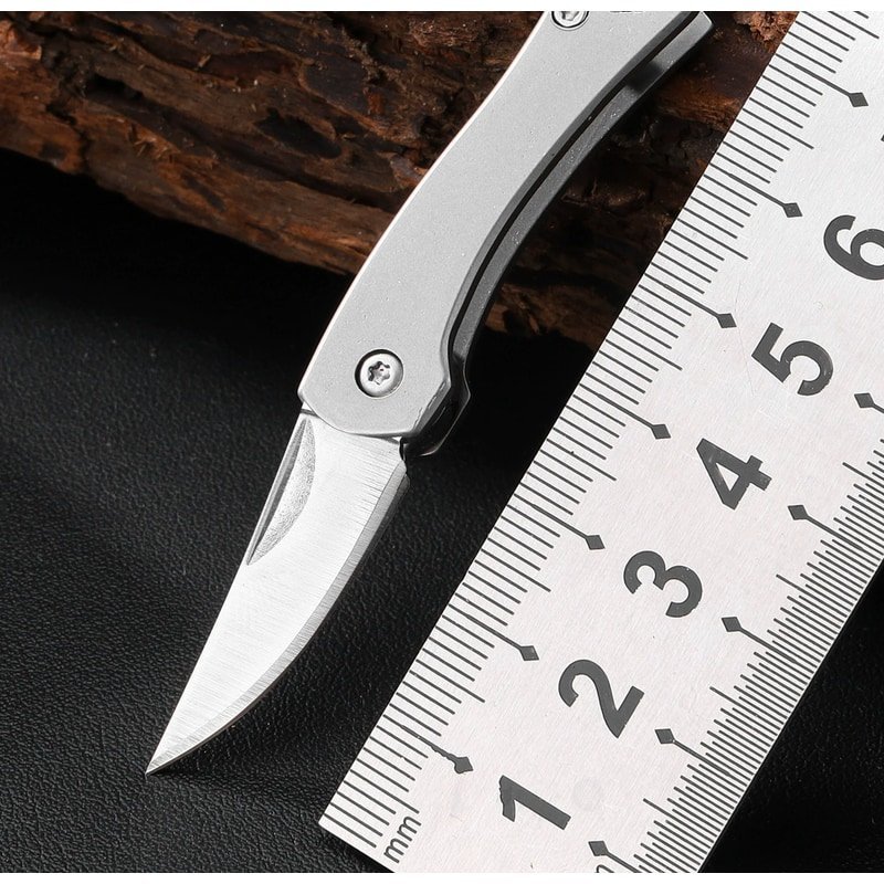 outdoor-folding-knife-with-silver-handle Outdoor Folding Knife with Silver Handle
